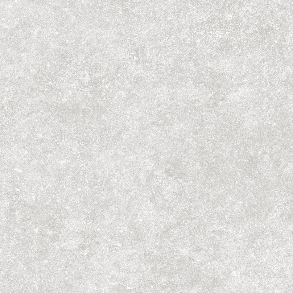 Bluestone Coin Porcelain Paving Slabs 600x600x20mm