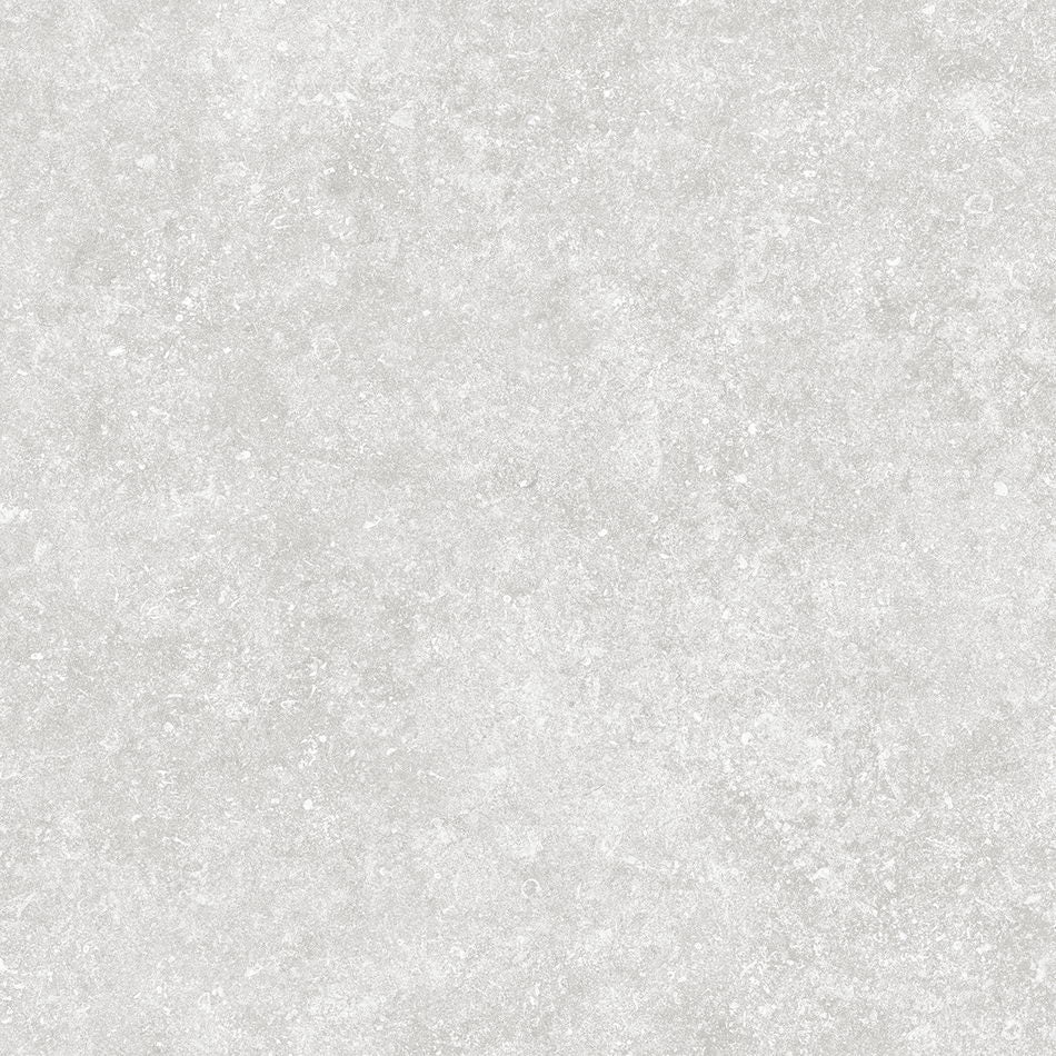 Bluestone Coin Porcelain Paving Slabs 600x600x20mm - Image 2